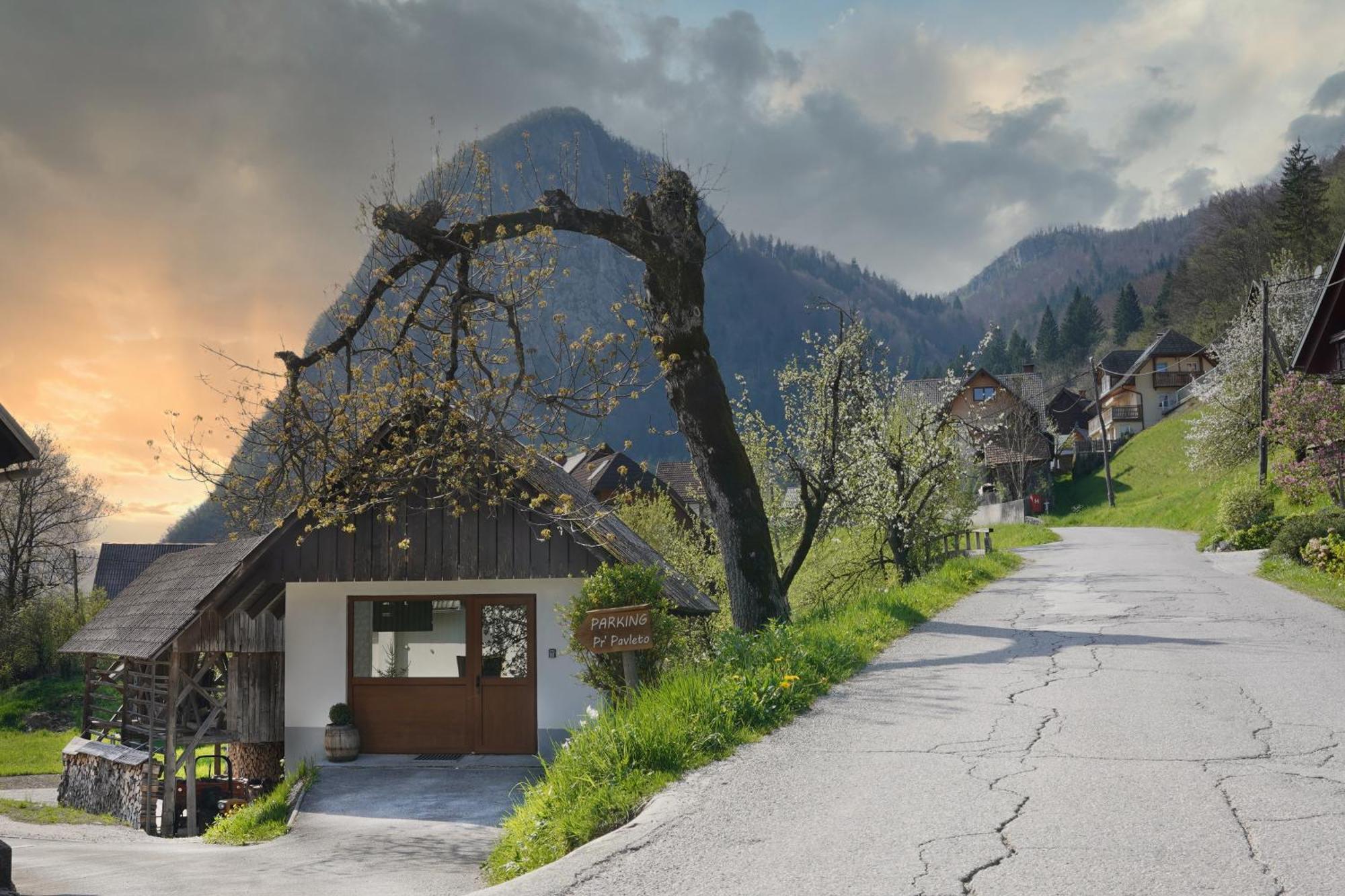 Apartments Pr' Pavleto Bohinj Exterior photo