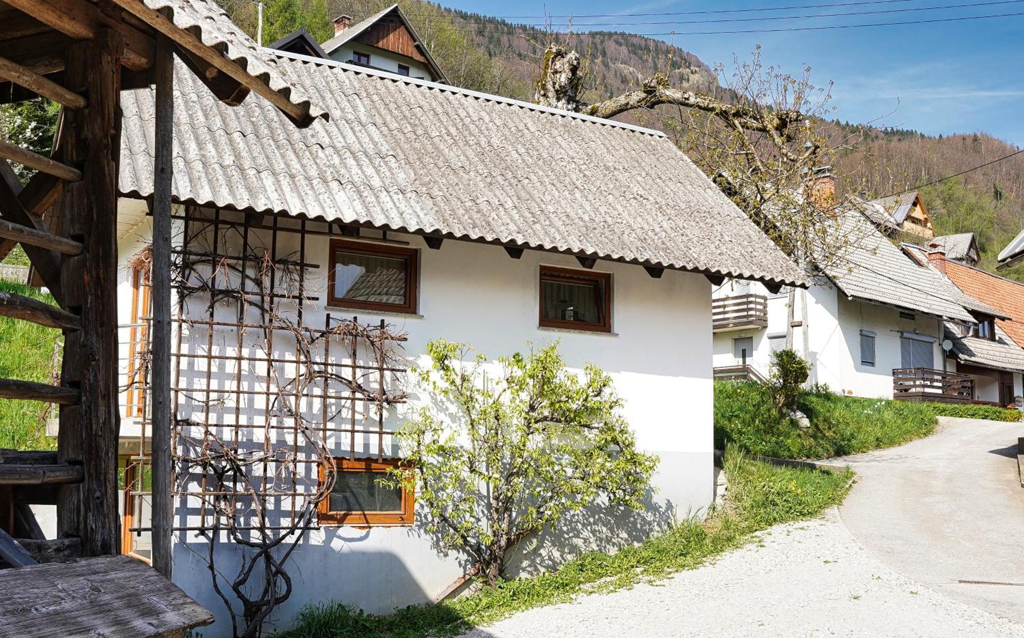Apartments Pr' Pavleto Bohinj Exterior photo